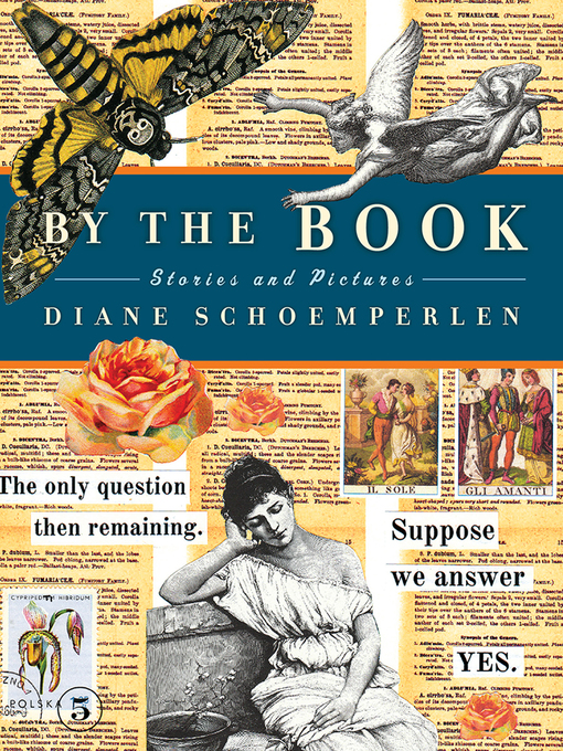 Title details for By the Book by Diane Schoemperlen - Available